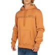 Moletom Masculino Quiksilver Emb Type Hoodie AMARELO-Q422A0133- -2-